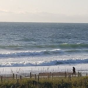 Meet your Posher, Dawn